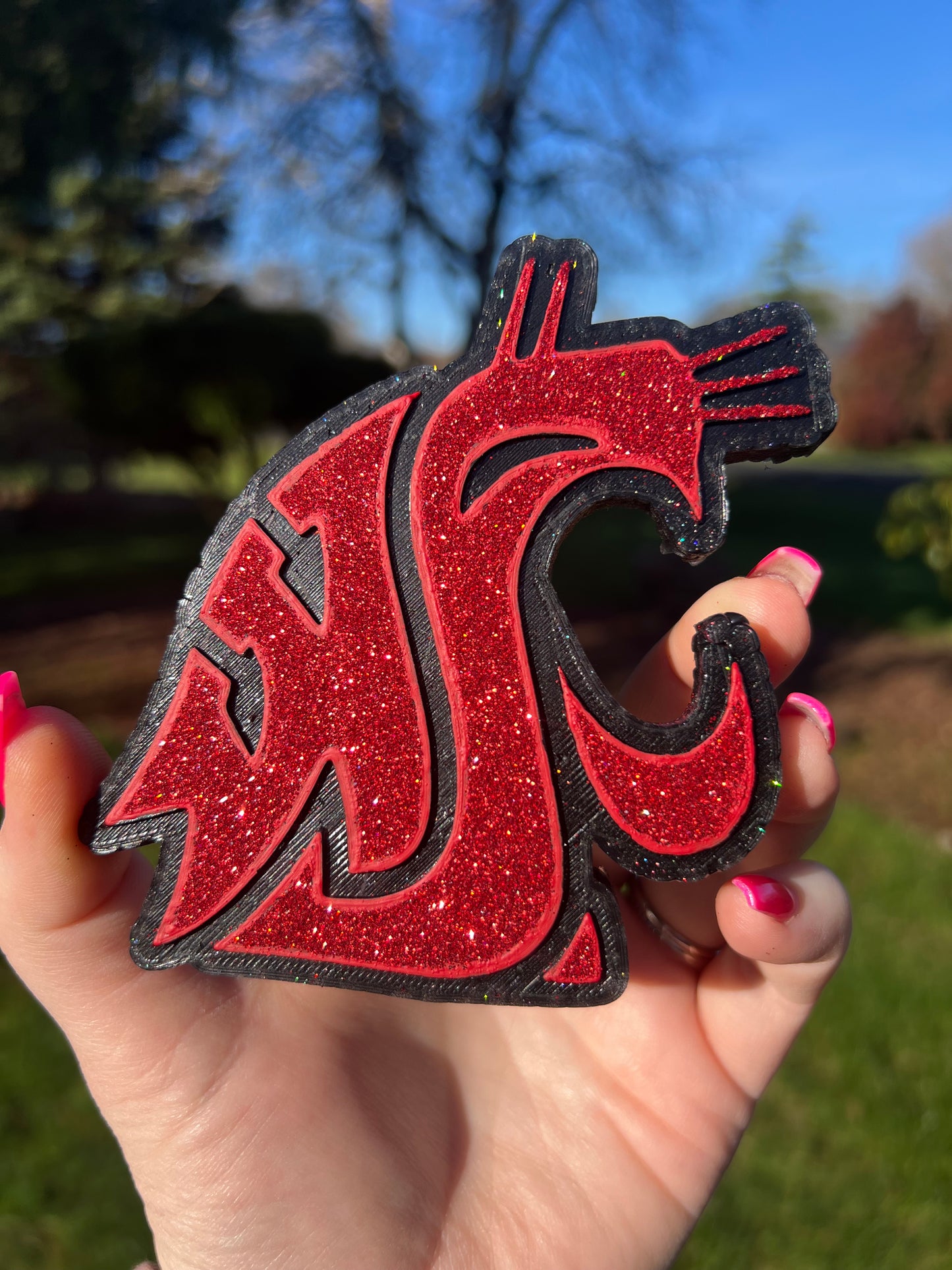 WSU Cougar Freshie